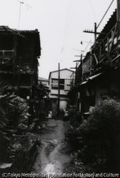 東京都写真美術館｜収蔵品検索