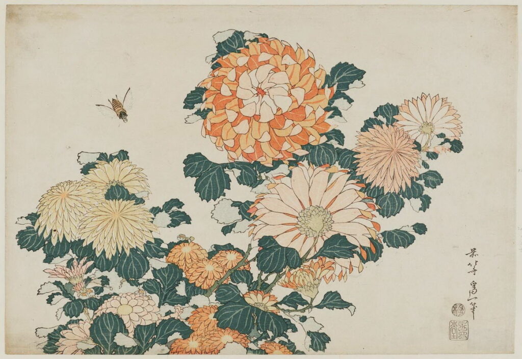 葛飾北斎の塗り絵 1 菊に虻 | 絵本・名画・花の塗り絵