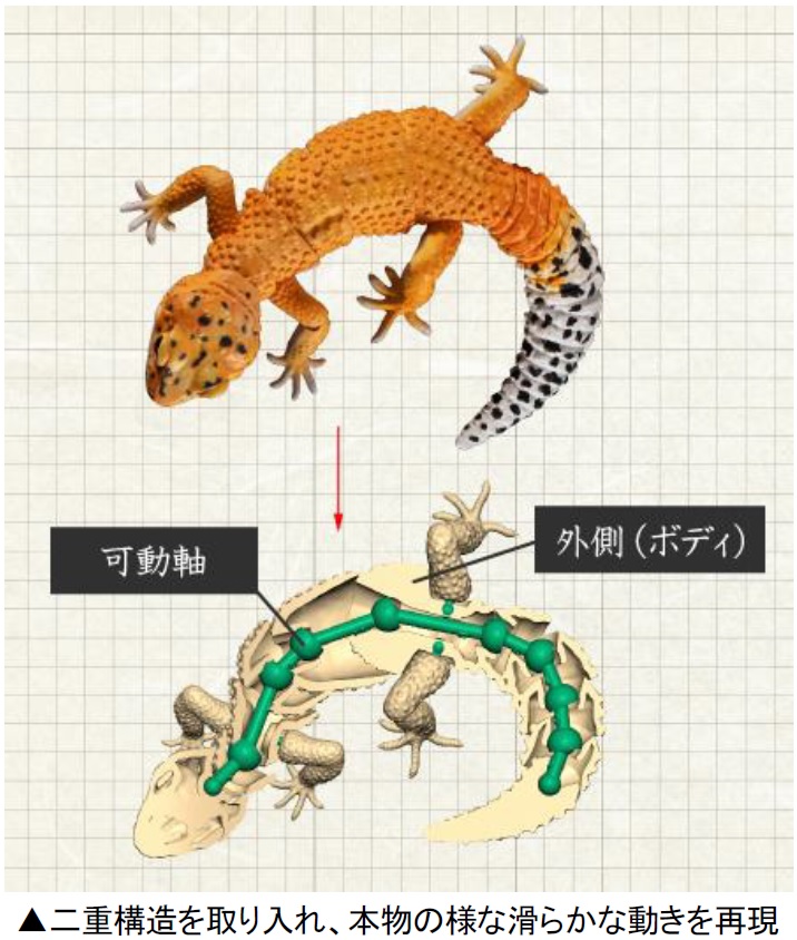 いきもの大図鑑シリーズ」最新弾『いもむし』『ヒョウモントカゲモドキ