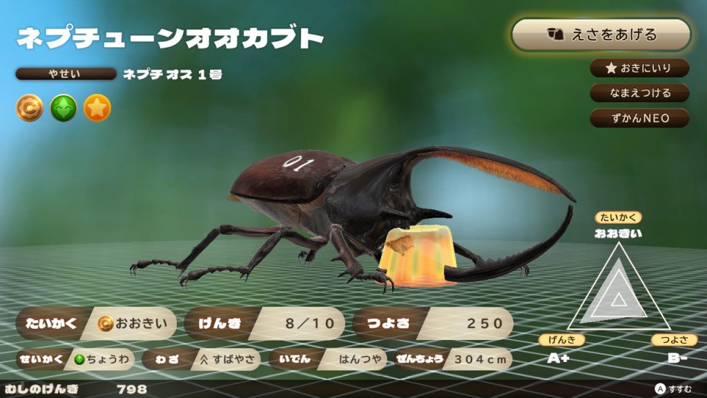 カブトクワガタ日記】第207回 ネプチューンオオカブトとは