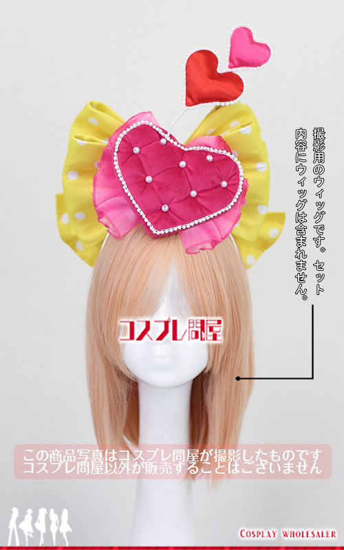 東京ディズニーランド（TDL） ディズニー・パルパルーザ ミニーの