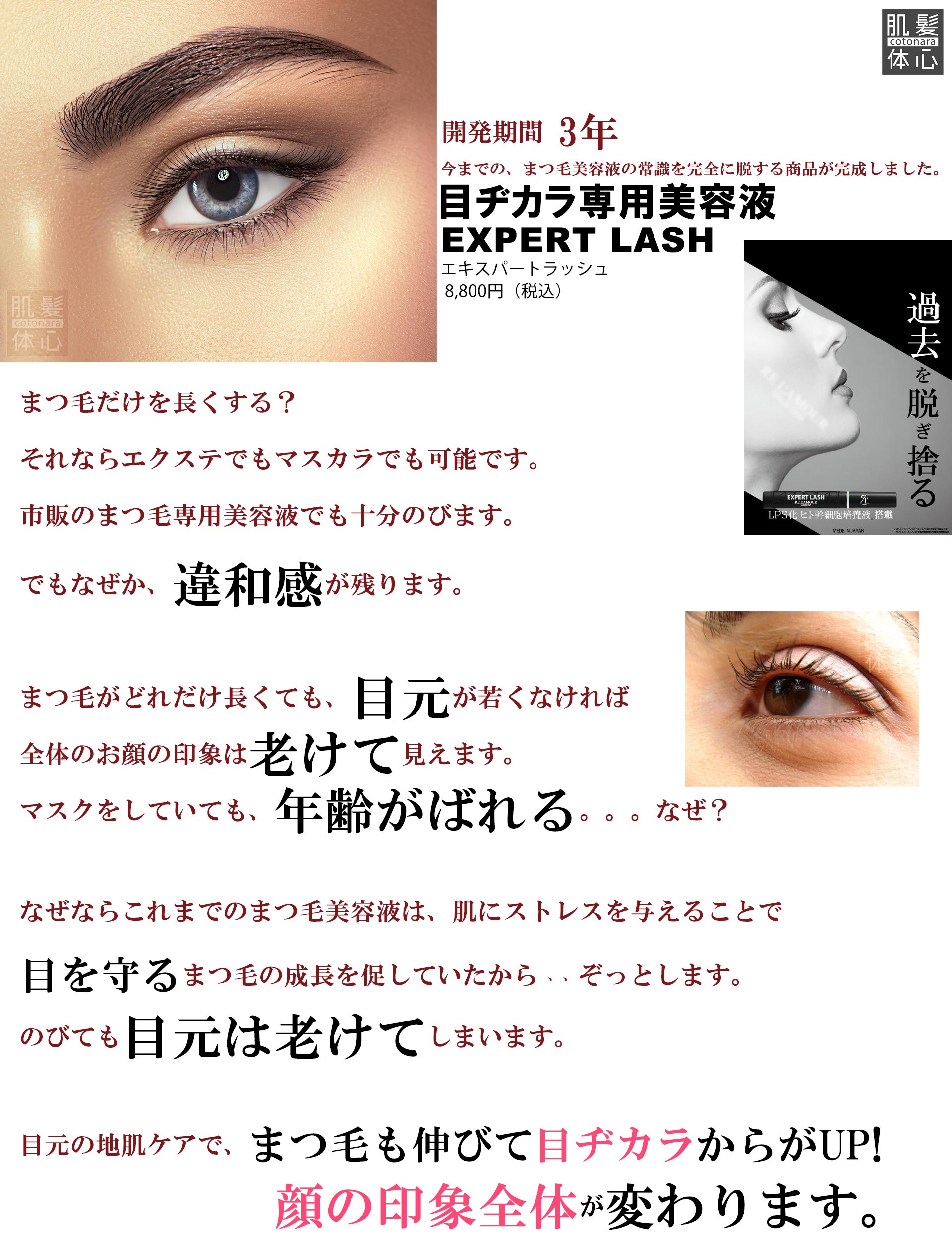 リアボーテ正規販売店】エキスパートラッシュ ご購入方法と使い方｜東京