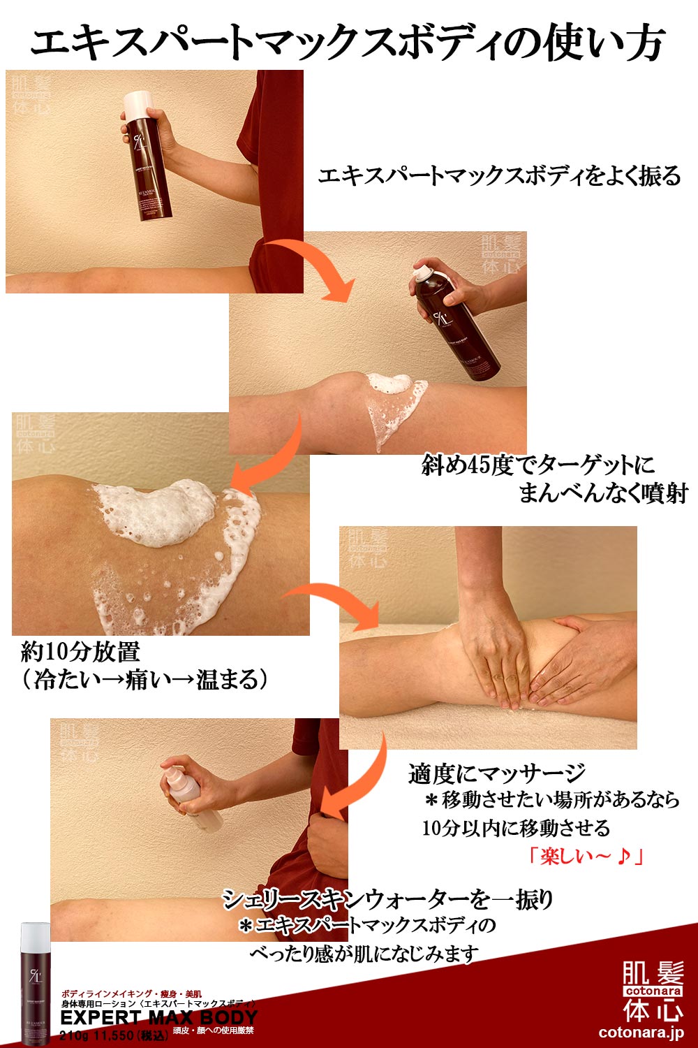 リアボーテ正規販売店】エキスパートマックスボディ ご購入方法と