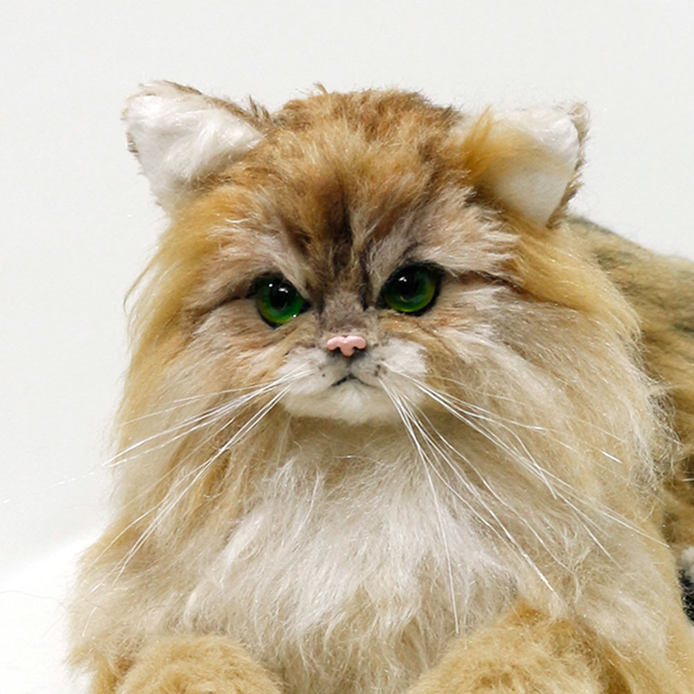 211228 銀 チンチラゴールデン（ペルシャ猫） - 【公式】ぬいぐるみの