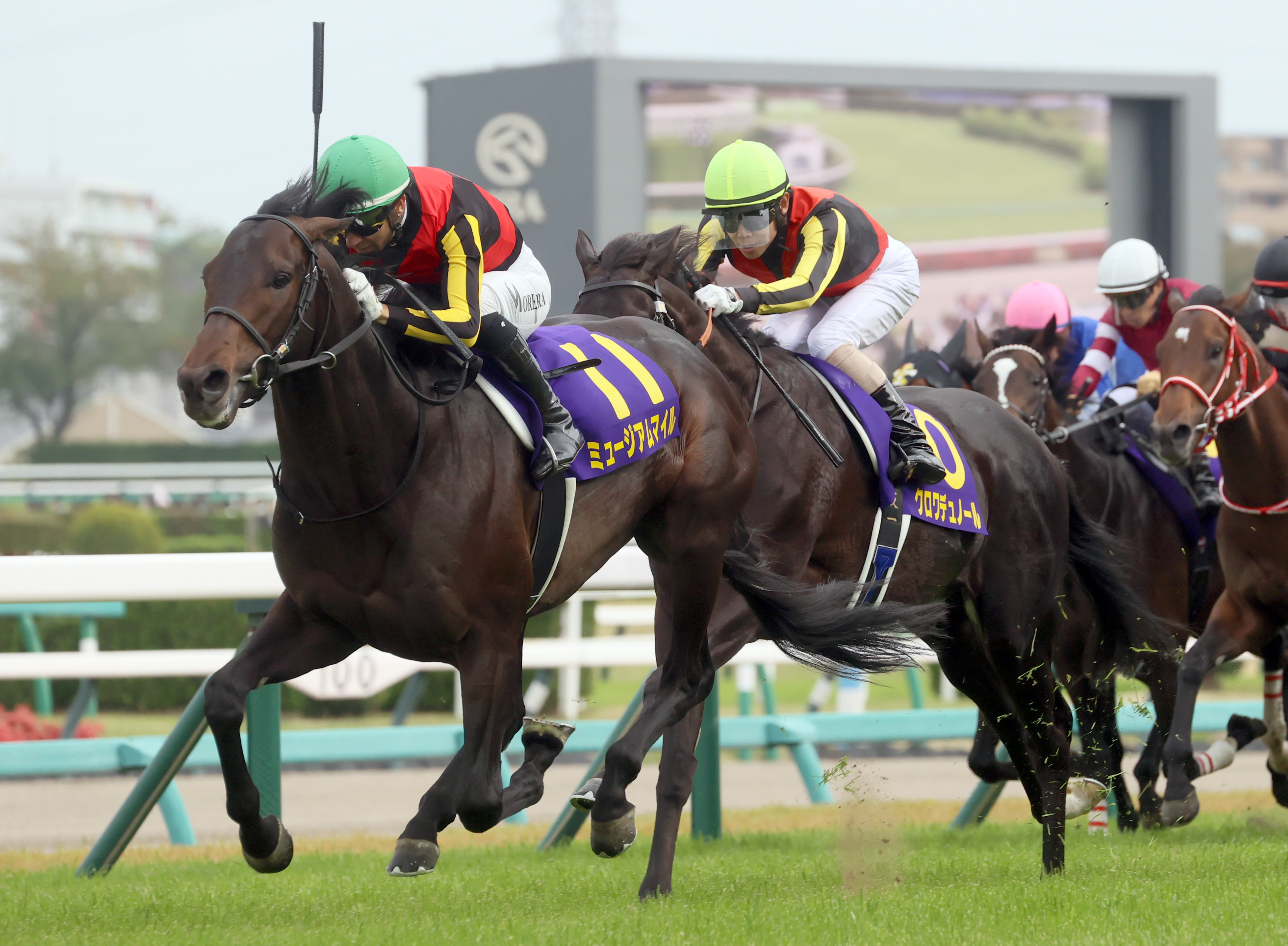 日本ダービー 枠順確定】2冠制覇目指すミュージアムマイルは4枠7番