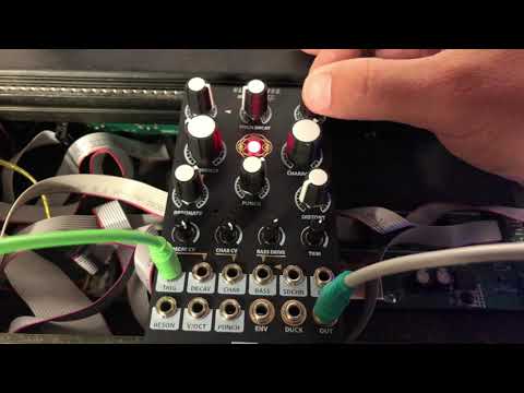 Steady State Fate Entity Ultra-Kick — Clockface Modular