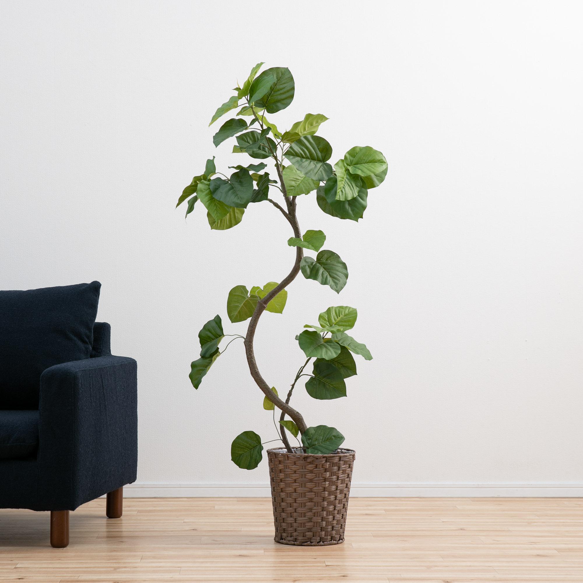 ウンベラータ スパイラル150cm(フェイクグリーン) W60×H150xφ20cm