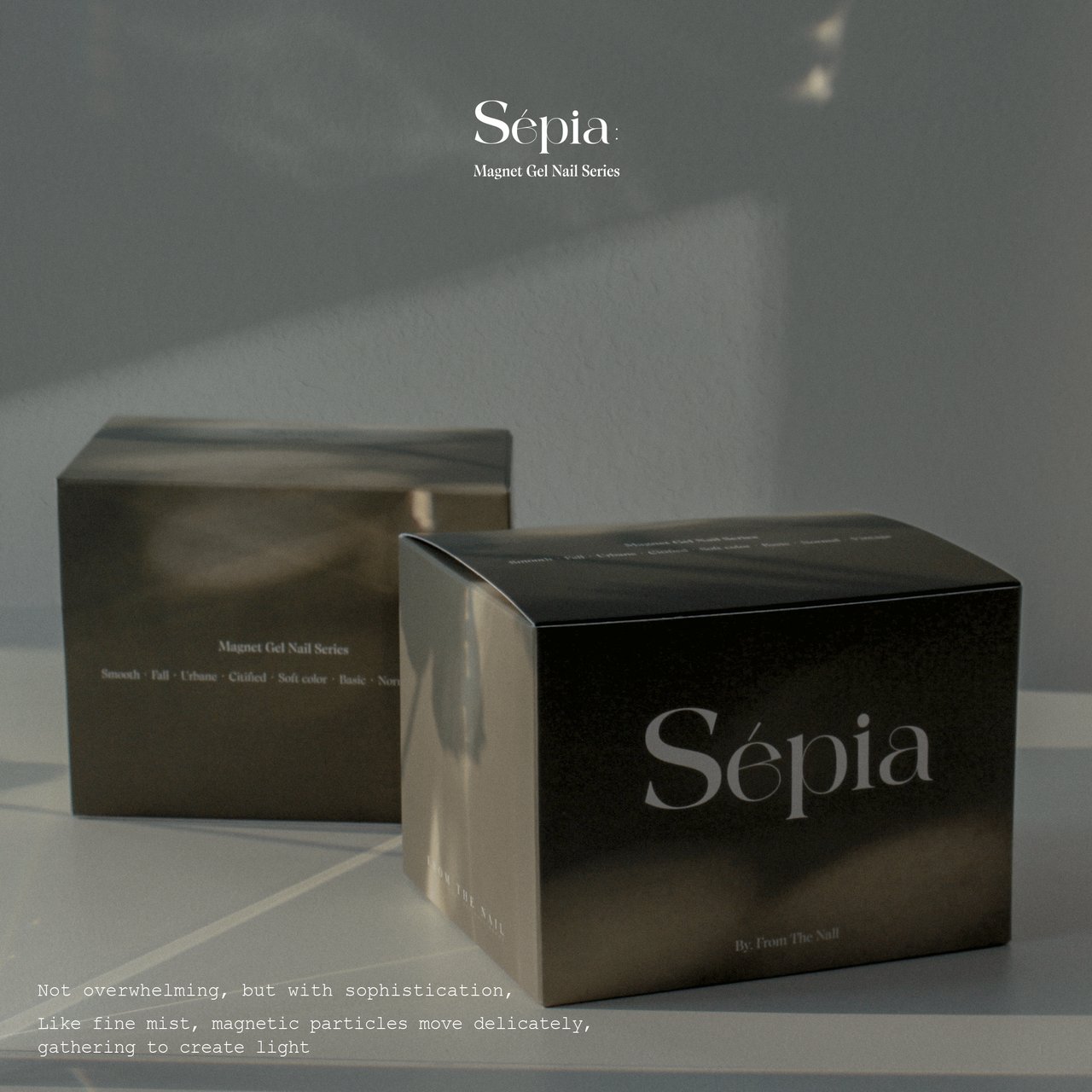 Sepia（セピア） マグネット9本セット | FROM THE NAIL（フロムザ