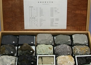 ニチカ 堆積岩組標本 - クリスタルポケット