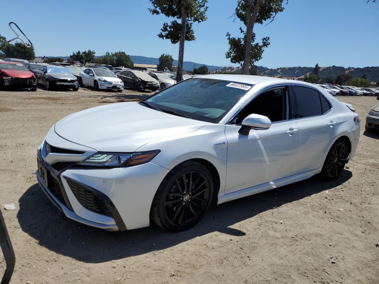 2021 TOYOTA CAMRY XSE | 4T1K31AK1MU552204