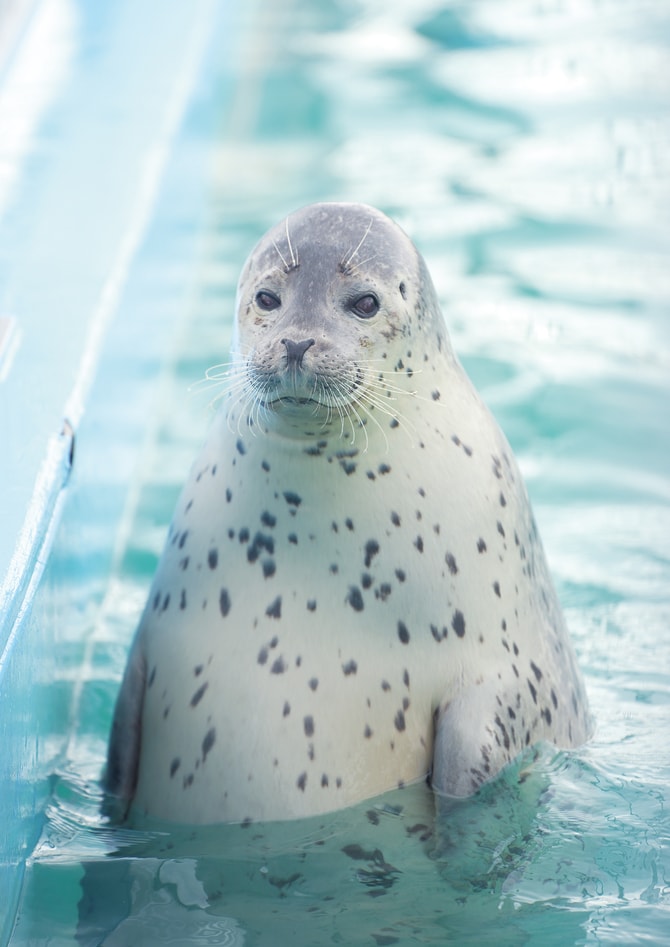 2ページ目)「もう会わないのが彼らの幸せ…」2024年、日本中を熱狂させ