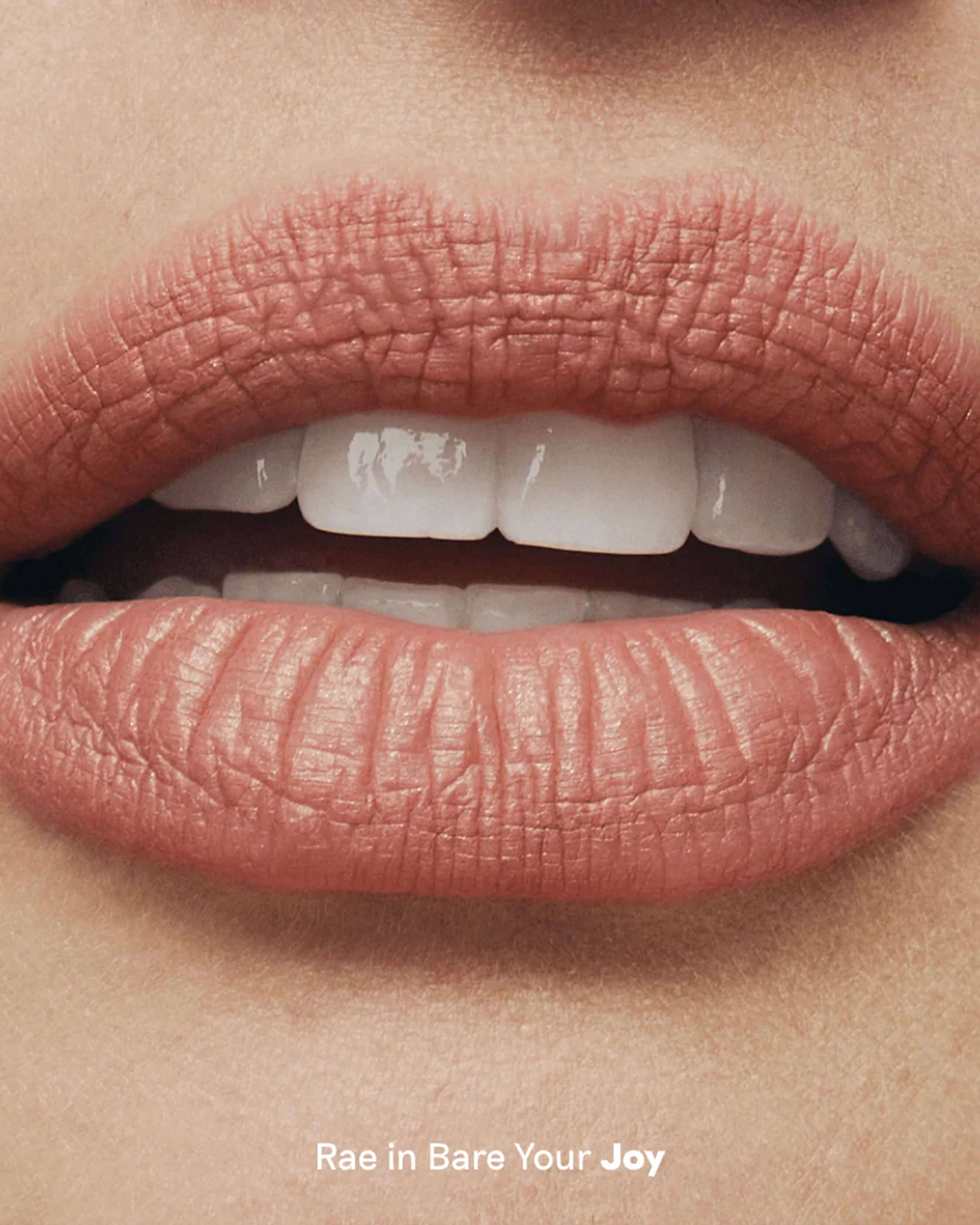 口紅 ACE YOUR FACE LOOK IN A BOX:NEUTRAL Neutral Territory – about