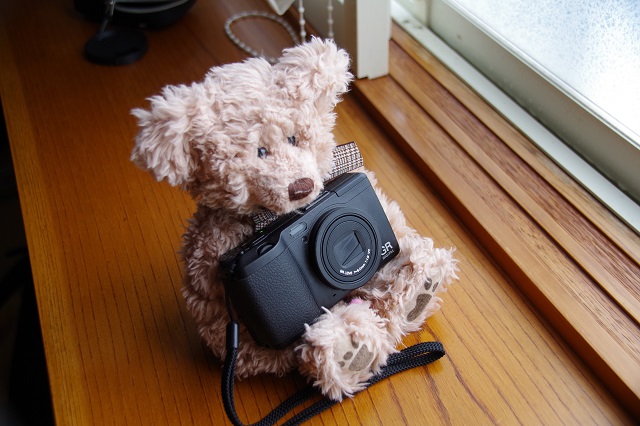 RICOH「GR digital Ⅳ」シャッター回数の確認方法 | Hitomatome