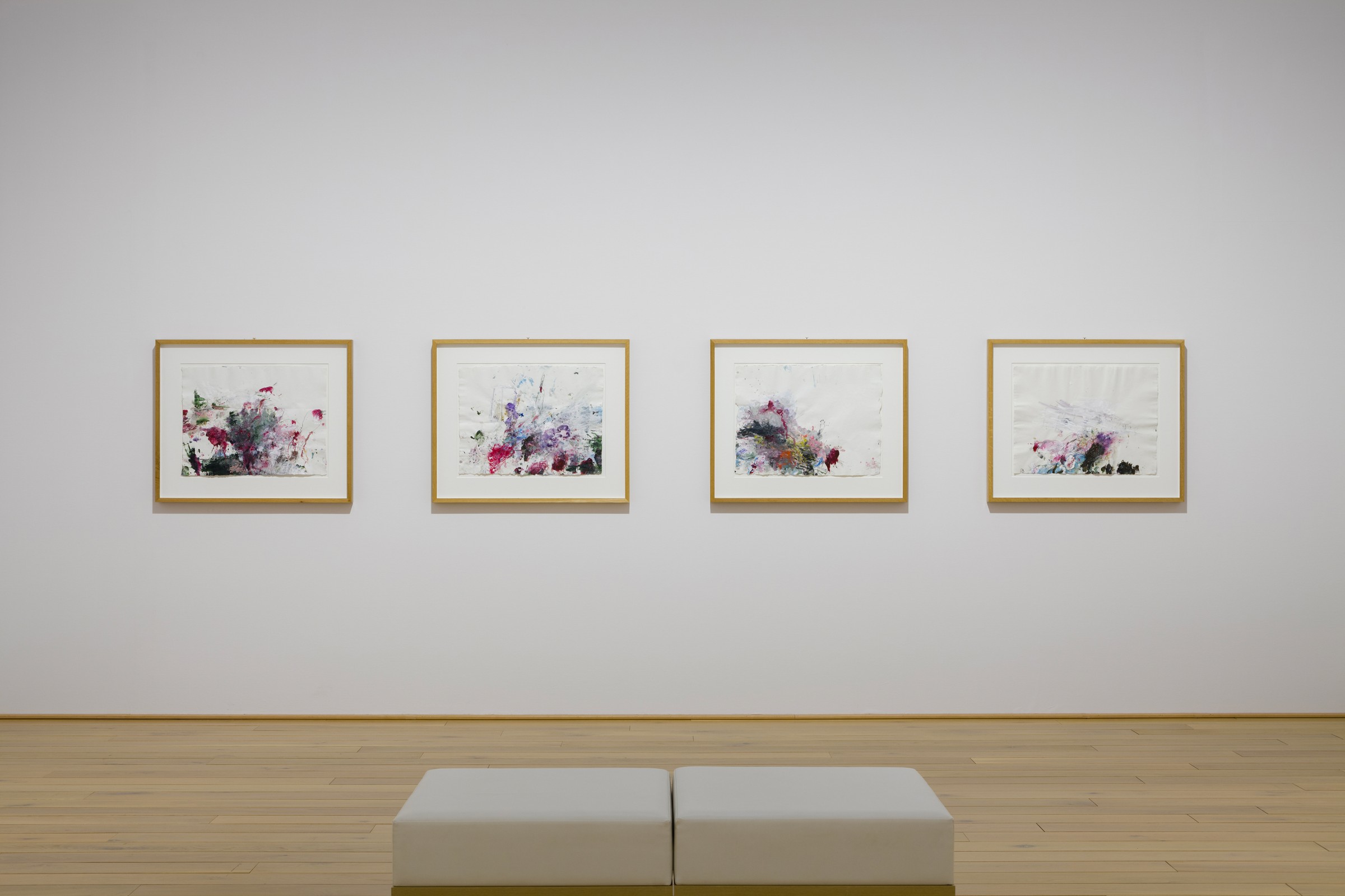 Cy Twombly Photographs: Lyrical Variations | Exhibitions | News