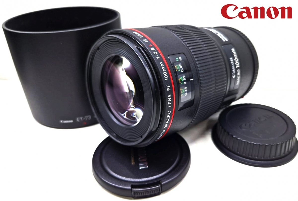 Focus Filme Ltda. A sua loja de Equipamentos Fotográficos