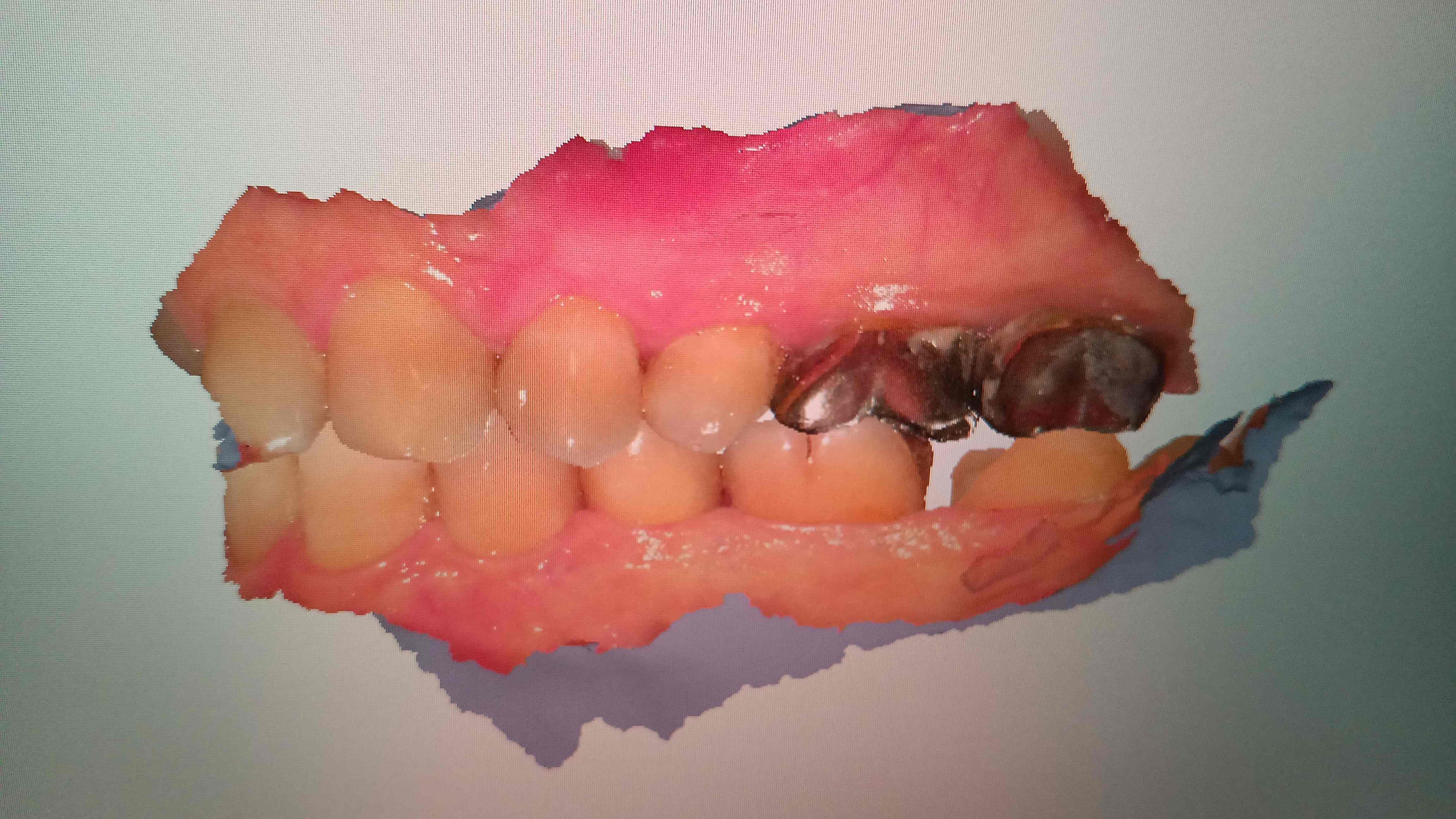 医院通信｜クロスガーデンデンタルクリニック｜東京都多摩センター