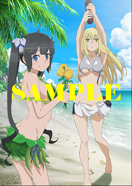 ブルーレイ・DVD | TVアニメ「ダンジョンに出会いを求めるのは間違って