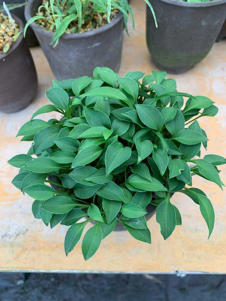 1634248468466_thum_625066_phot