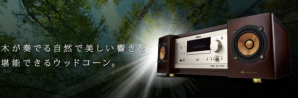 ビクターオーディオ 新型〈EX-B5〉 特別限定販売会 | 紳士服・紳士洋品