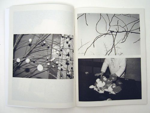 Ed in Japan , Purple #5 Supplement | Juergen Teller