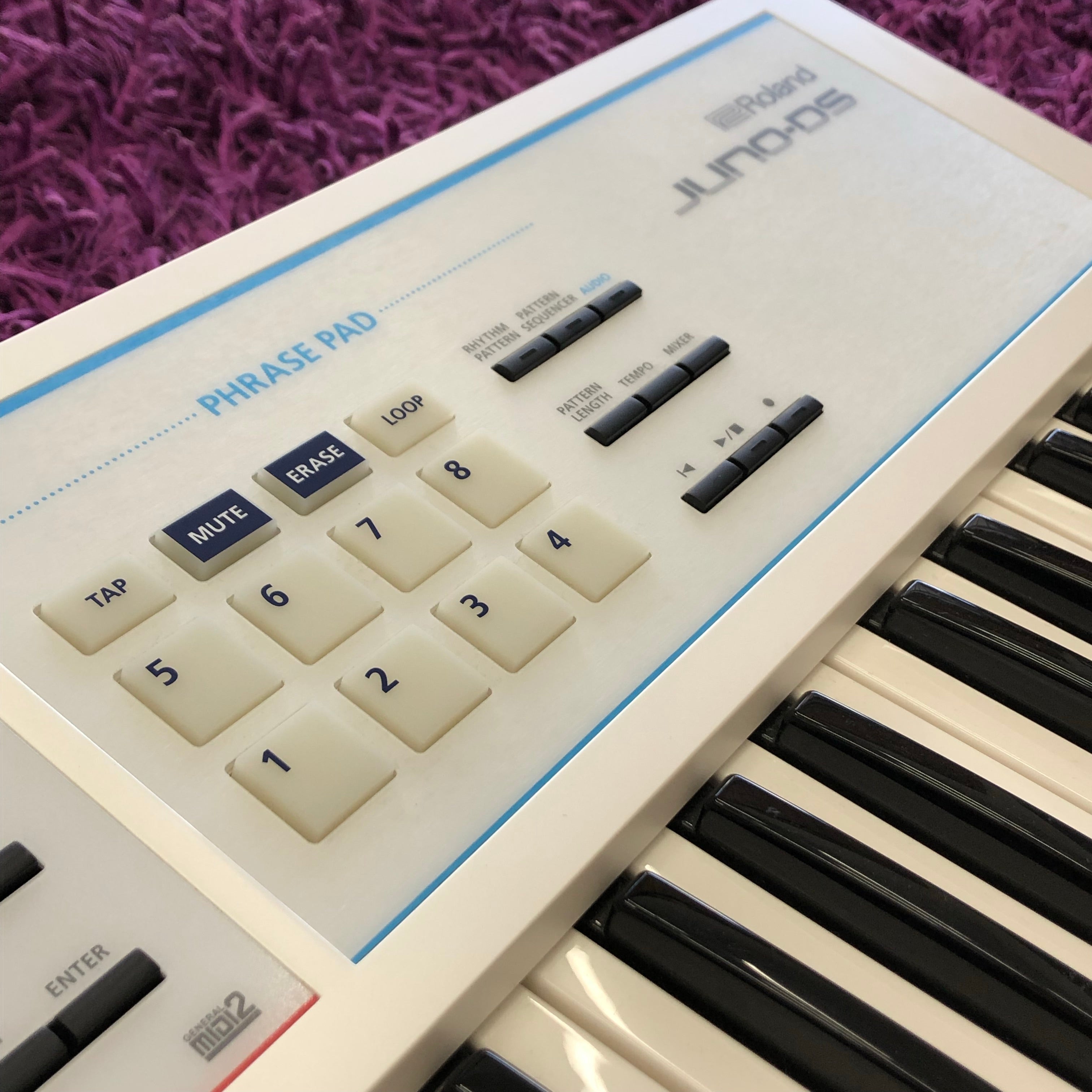 Roland JUNO-DS61 61-Key Synthesizer (Japanese Exclusive White