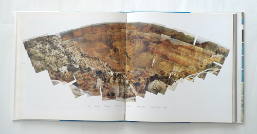 古書古本 dessin：David Hockney: Camera Works（デイヴィッド