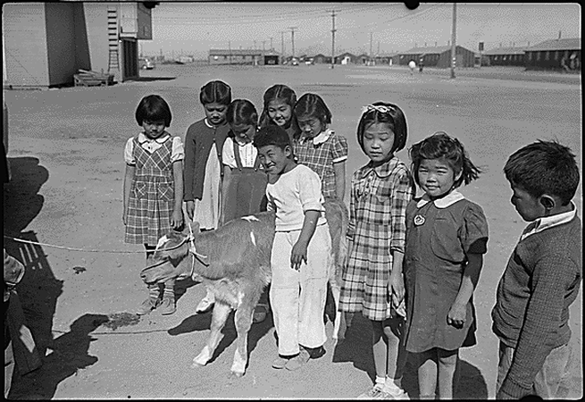 第二次世界大戦における日系アメリカ人の米国市民権の放棄