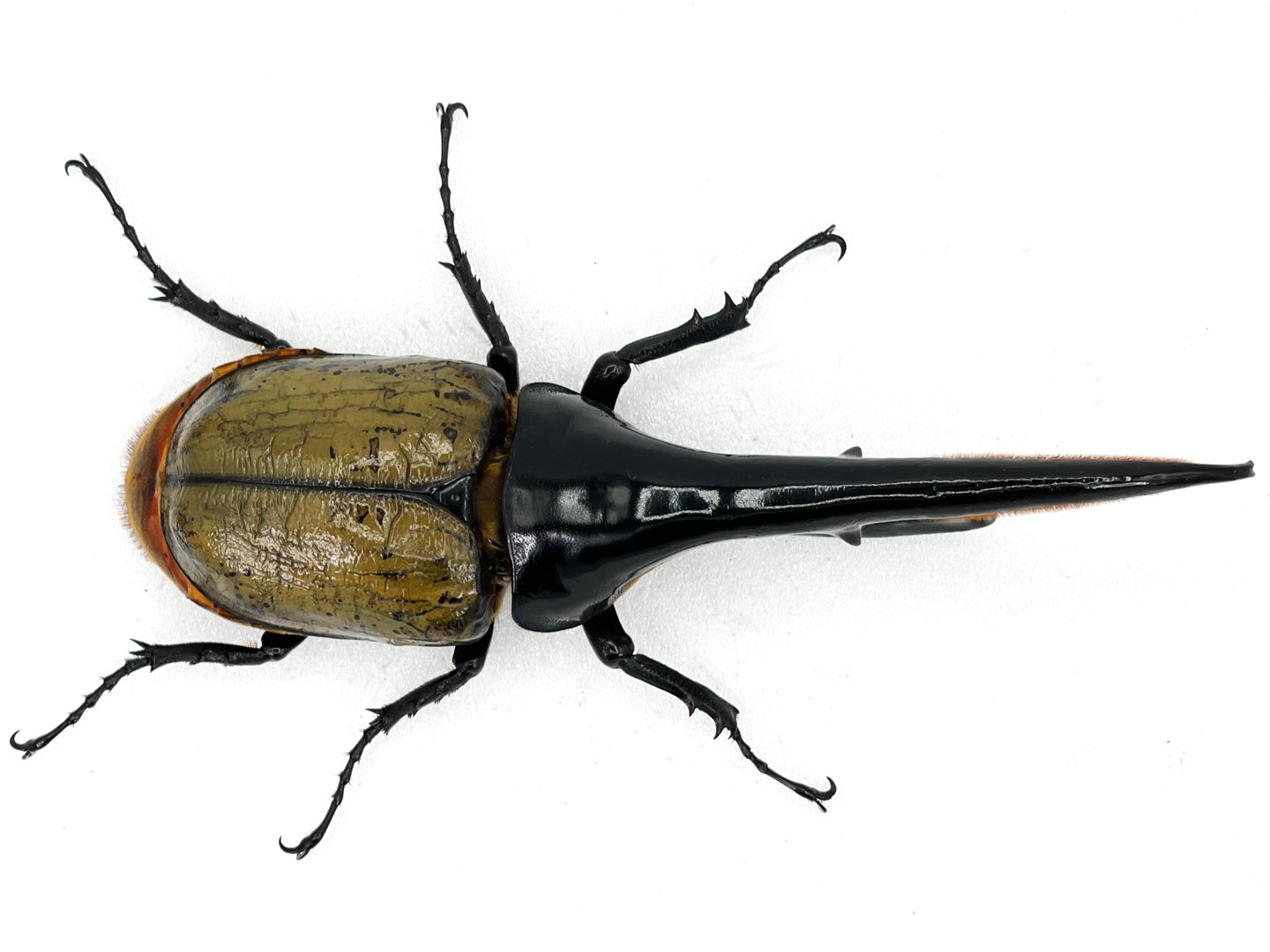 5f63f49b6b7d98988e1002a4a4f2d6