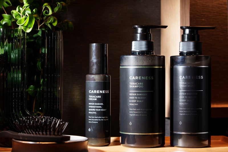 ケアネス テラケアスカルプケアミスト100mL – DD