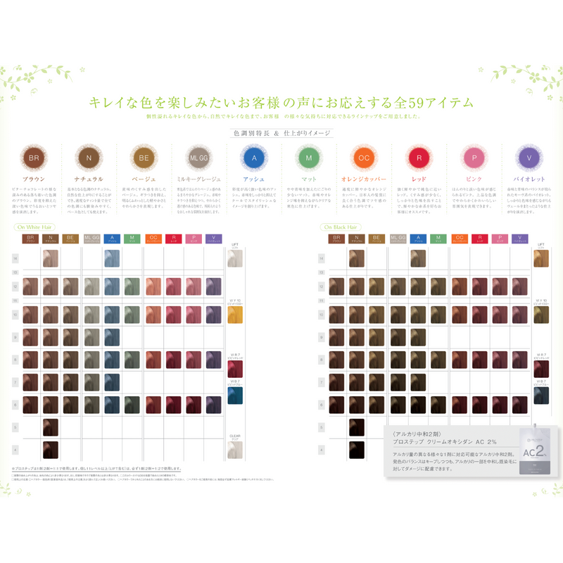 プロステップ V 6 80g – DD