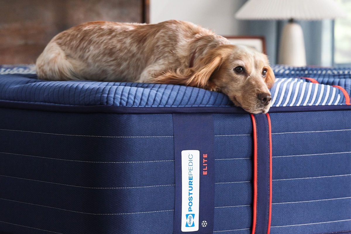 Sealy Posturepedic® Albany Firm Innerspring 14