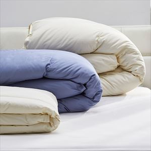 ウェッジウッド タオルケット 2枚組 2枚組（シングル）140×190cm