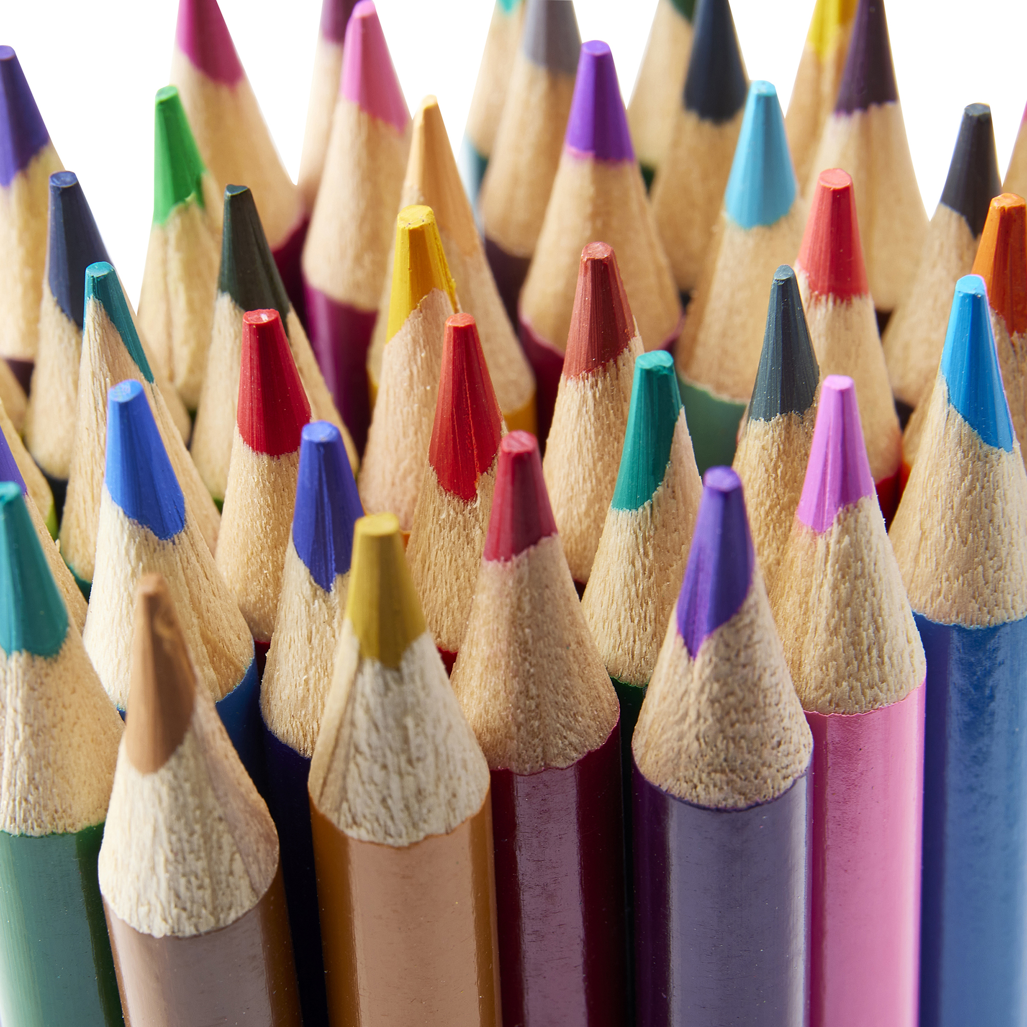 Timeless Creations 36 Count Colored Pencils Timeless