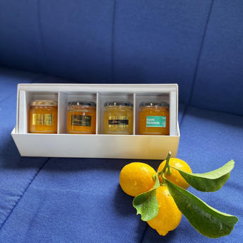 瀬戸内柑橘マーマレードお好みセット | 加工品/ジャム 産直アウル 農家