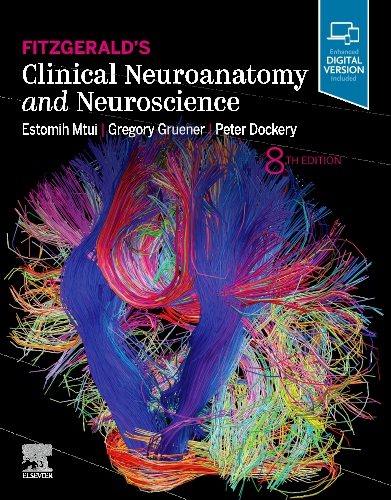 Fitzgerald's Clinical Neuroanatomy and Neuroscience - Edition 8