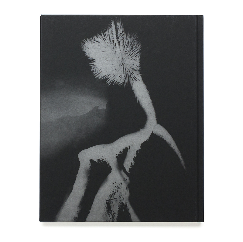 Horizon Icons - Chris SHAW | shashasha - Photography & art in books