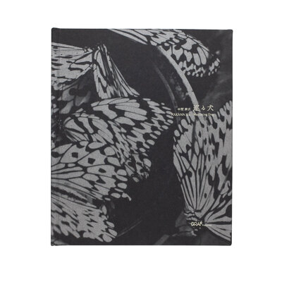 MATTER / BURN OUT - 横田大輔 | shashasha 写々者 - 写真集とアートブック