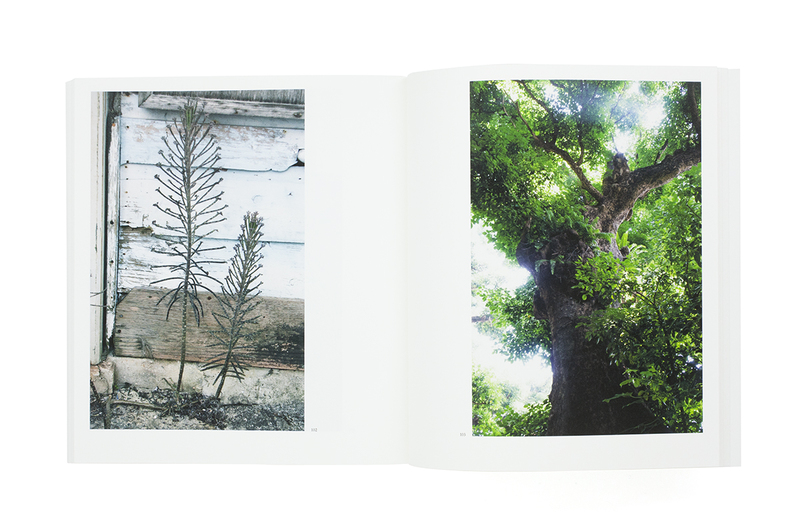 新編 太陽の鉛筆 - 東松照明 | shashasha 写々者 - 写真集とアートブック