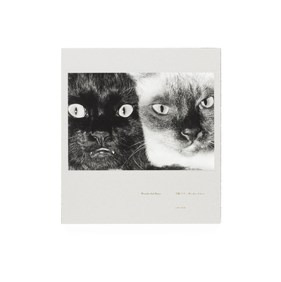 Wonderful Days - 深瀬昌久 | shashasha 写々者 - 写真集とアートブック