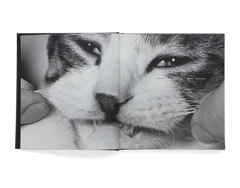 Afterword - 深瀬昌久 | shashasha 写々者 - 写真集とアートブック