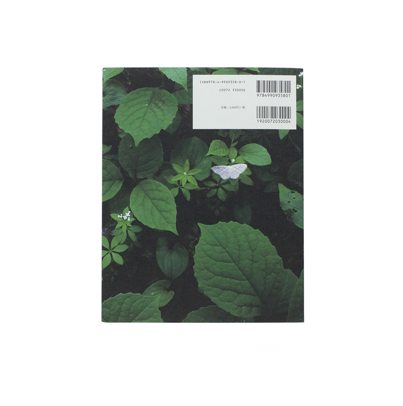 into the forest - 田淵三菜 | shashasha 写々者 - 写真集とアートブック