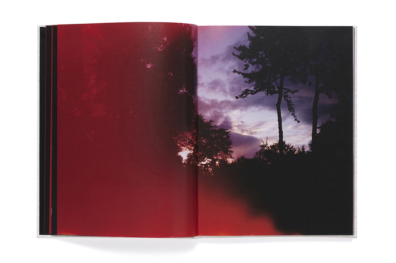 Abandom Reverie` - Mark BORTHWICK | shashasha - Photography & art