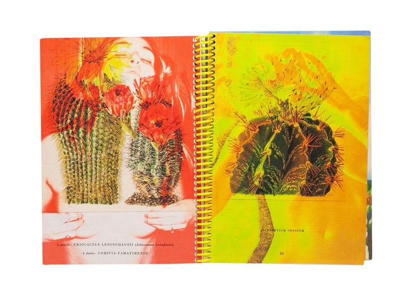 プリント2枚付き、サイン入り】Vincent Delbrouck プリント2枚付き