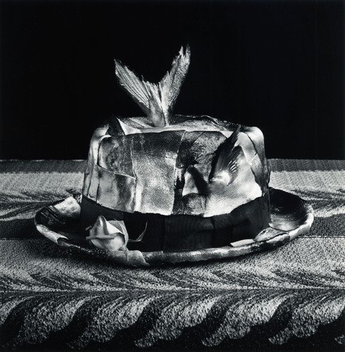 Michiko KON - 今道子 | shashasha - Photography & art in books