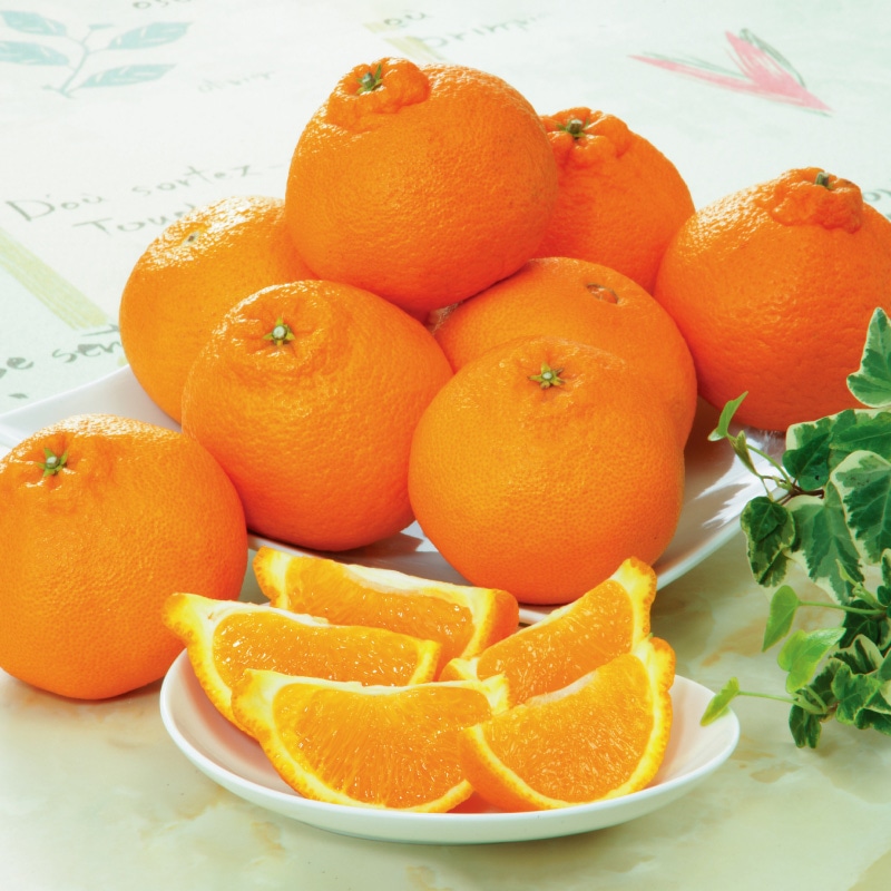 木熟デコポン 3kg｜郵便局のネットショップ