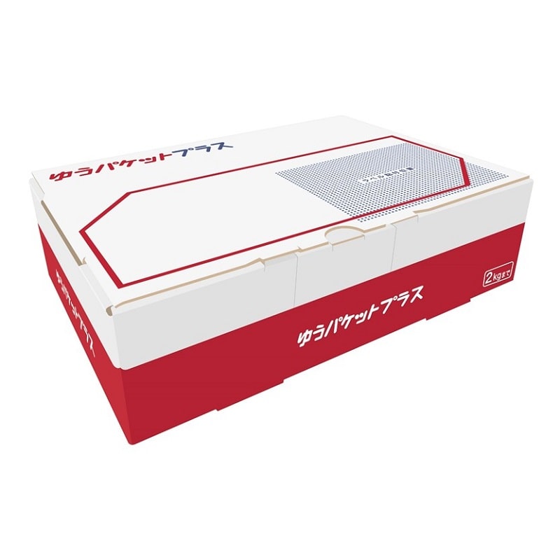 レターパックプラス（600円）（20部セット）｜郵便局のネットショップ