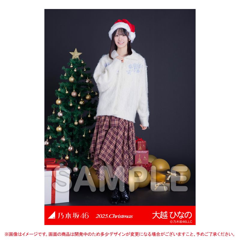 乃木坂46 OFFICIAL WEB SHOP | 乃木坂46 グッズ通販サイト