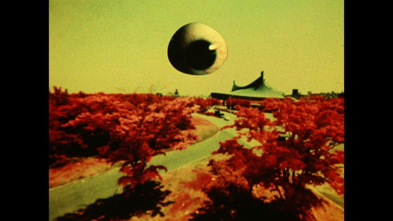 視覚のサイケデリアの世界を一堂に--『薔薇の葬列』の松本俊夫監督の