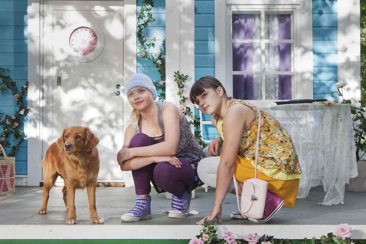 フィンランドからの贈り物！大ヒットシリーズ第三弾『オンネリと