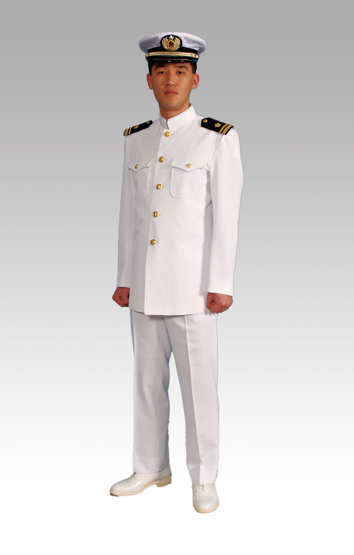 海国”日本の国境をまもる重要部隊「海上自衛隊」の任務とは - MAMOR-WEB